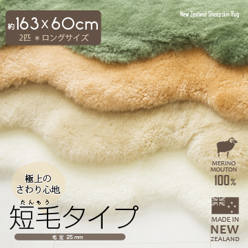 ムートンラグ NZ製 2匹 短毛
