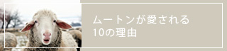 ムートンが愛されている10の理由（ワケ）